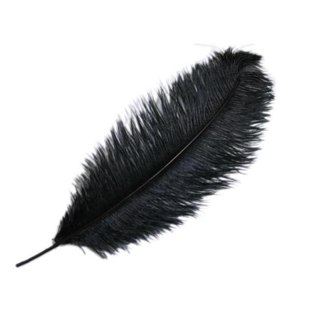 Rental store for Black Ostrich Feather 10 -14 in Santa Ana CA