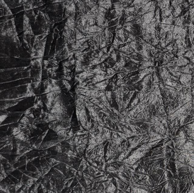 Rental store for Black Crush Bichon in Santa Ana CA