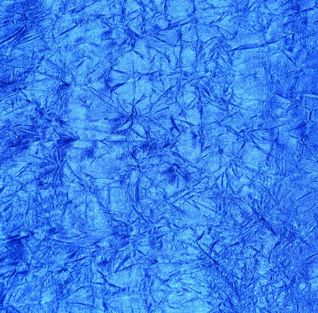 Rental store for Royal Blue Crush Bichon in Santa Ana CA