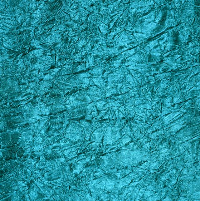 Rental store for Teal Crush Bichon in Santa Ana CA