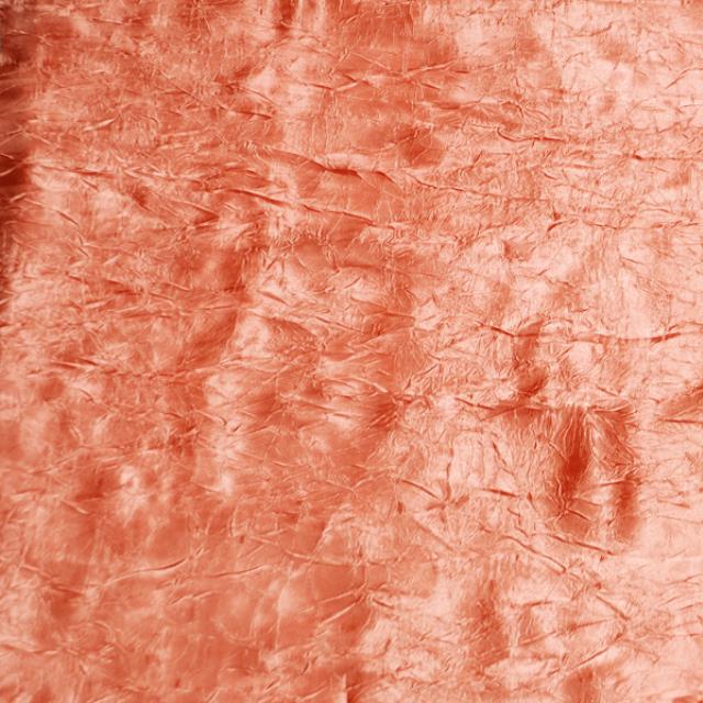 Rental store for Coral Crush Bichon in Santa Ana CA