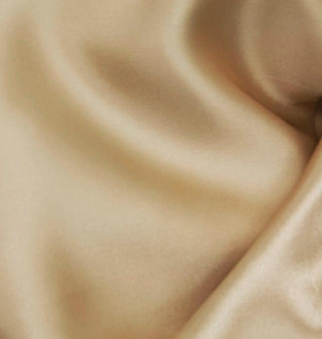 Rental store for Champagne Bridal Satin in Santa Ana CA