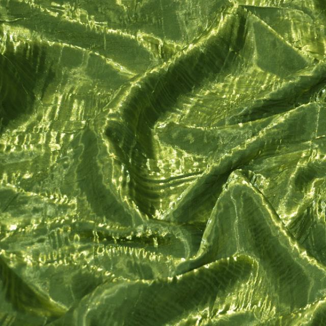 Rental store for Olive Iridescent Crush in Santa Ana CA