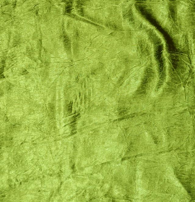 Rental store for Dark Lime Crush Bichon in Santa Ana CA