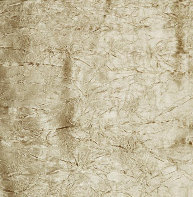 Rental store for Champagne Crush Bichon in Santa Ana CA