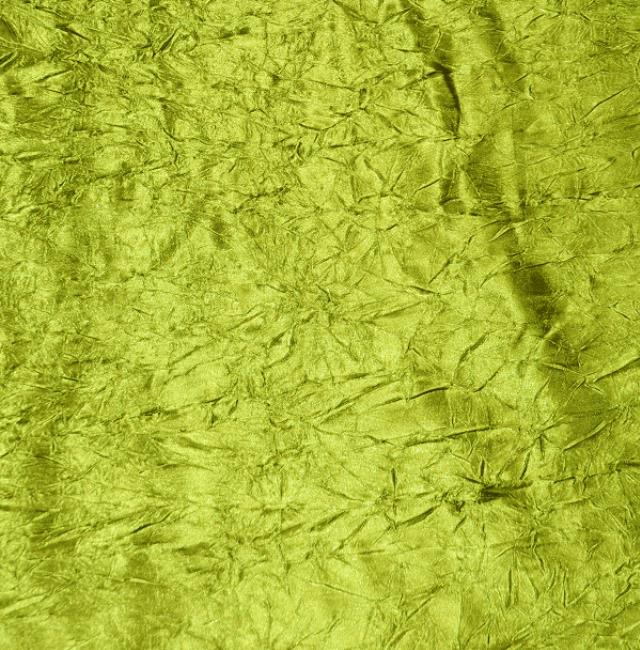 Rental store for Avocado Crush Bichon in Santa Ana CA