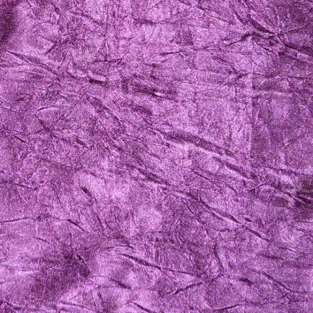 Rental store for Plum Crush Bichon in Santa Ana CA