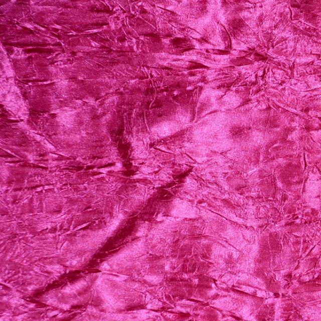 Rental store for Fuchsia Crush Bichon in Santa Ana CA