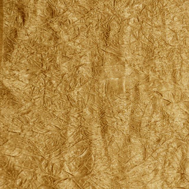 Rental store for Sunset Gold Crush Bichon in Santa Ana CA