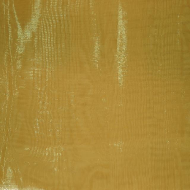 Rental store for Gold Organza in Santa Ana CA